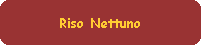 Riso Nettuno